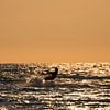 Kitesurfing bij zonsondergang van Michel Sjollema