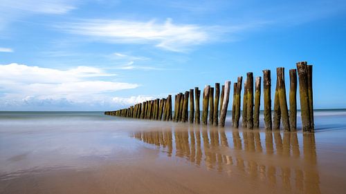 Beach stakes on the Opal Coast