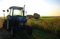 Texel Landschap 039
