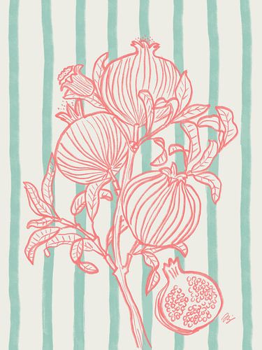 Granatäpfel am Zweig