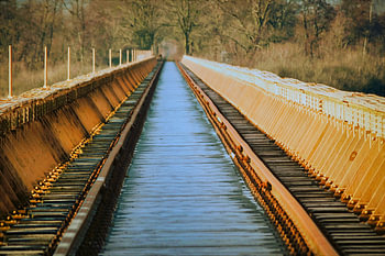 Swamp Bridge