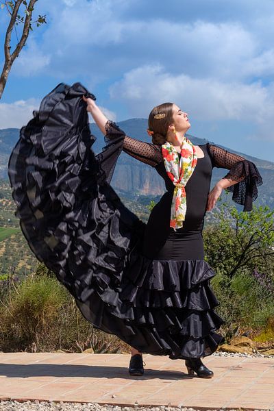 FLAMENCO AM STRAND 2 von Peter Laarakker