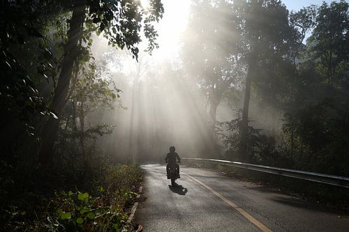Motor in de ochtendmist