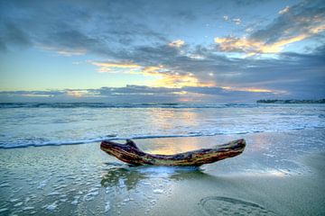 Zonsopgang op Cabarete Beach Kitesurfer's Paradise van Roith Fotografie