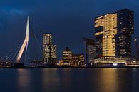 Rotterdamer Skyline Erasmusbrücke von Willemskade aus von Manon Ruitenberg Miniaturansicht