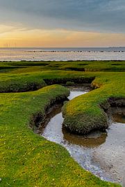 Salt marsh cliffs Point of Reide by Dieverdoatsie Fotografie