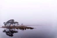 Spiegeling in de mist, Strijbeek, Strijbeekse heide, Noord-Brabant, Holland, afbeelding mist van Ad Huijben thumbnail