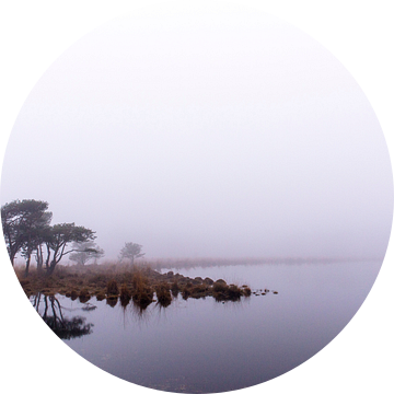 Spiegeling in de mist, Strijbeek, Strijbeekse heide, Noord-Brabant, Holland, afbeelding mist van Ad Huijben