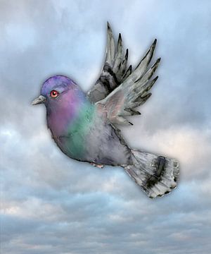 Pigeon voyageur