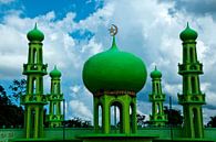 Groene moskee van Ton de Koning thumbnail
