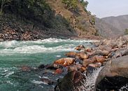 The rivier de Ganges in India von Eye on You Miniaturansicht