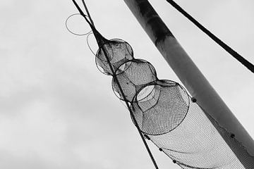 Cages à poissons Lauwersmeer