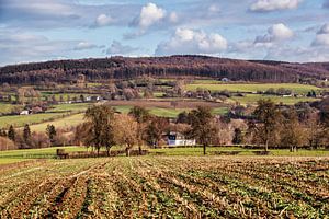 Epen und der Vijlener Wald