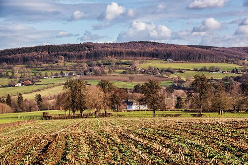 Epen und der Vijlener Wald