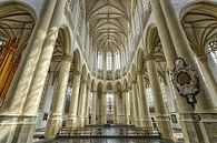 Hooglandse kerk in Leiden. van Tilly Meijer thumbnail