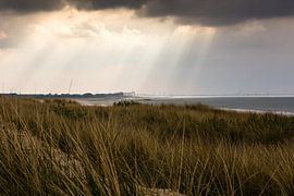 Na regen komt zonneschijn van Wim Byl