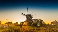 Riekermolen, Amsterdam