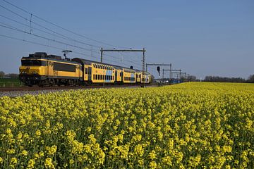 DDAR 1700 in spring by Harold de Groot