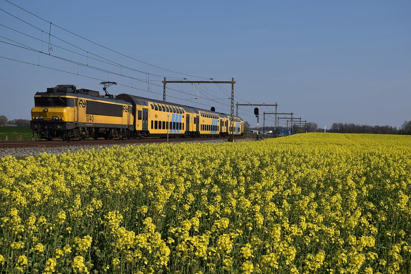 DDAR 1700 in de lente van Harold de Groot