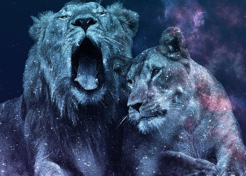 Galaxy Lion Couple in Love von Lemo Boy