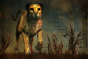 Dierenrijk – Cheetah  komt recht naar je toe tijdens de jacht van Jan Keteleer