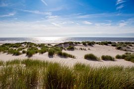 Duinen bij Schoorl aan Zee van Evelien Oerlemans