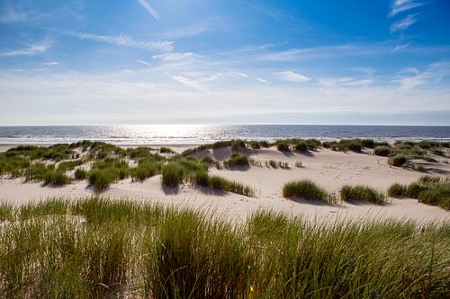 Duinen bij Schoorl aan Zee