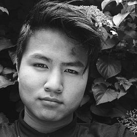 Wen Yao van Wieringen photo de profil