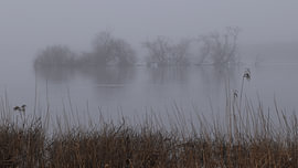 Grauer Tag von Erik Buitenhuis
