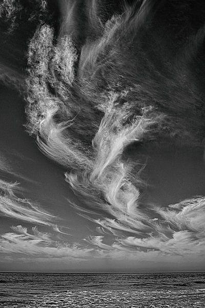 Zeegezicht Zeeland van appie bonis