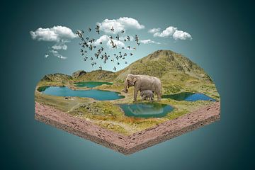 Dorstige olifanten van Ursula Di Chito