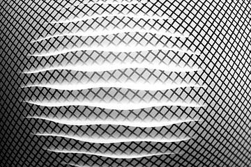 Abstract rond golvend patroon in zwart wit van Lisette Rijkers