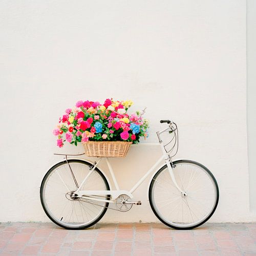 Bloemenfiets voor een witte muur