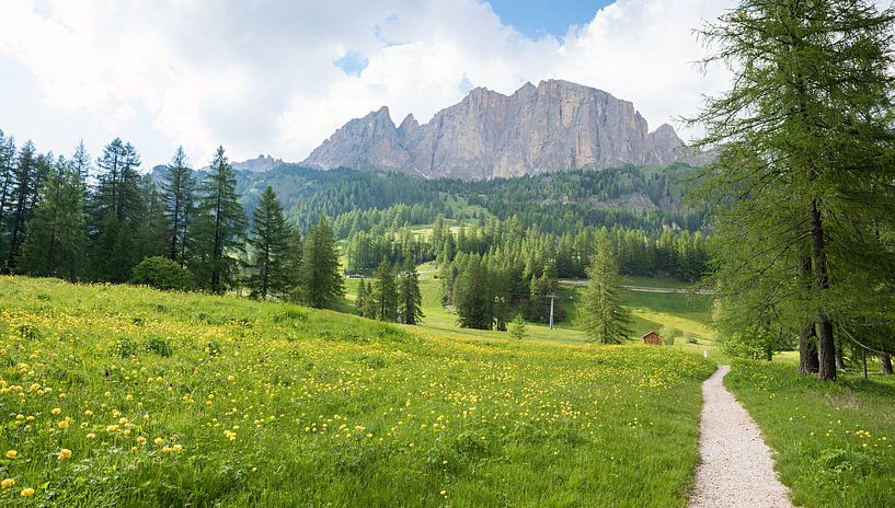 sentier autour de la station touristique de Colfosco, Alpes dolomitiques par SusaZoom