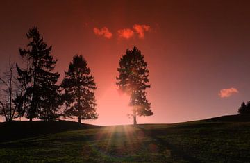 Coucher de soleil sur Vera Laake