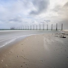 Texel beach by Bart van Dinten