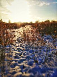 the hare`s trail  by claes touber