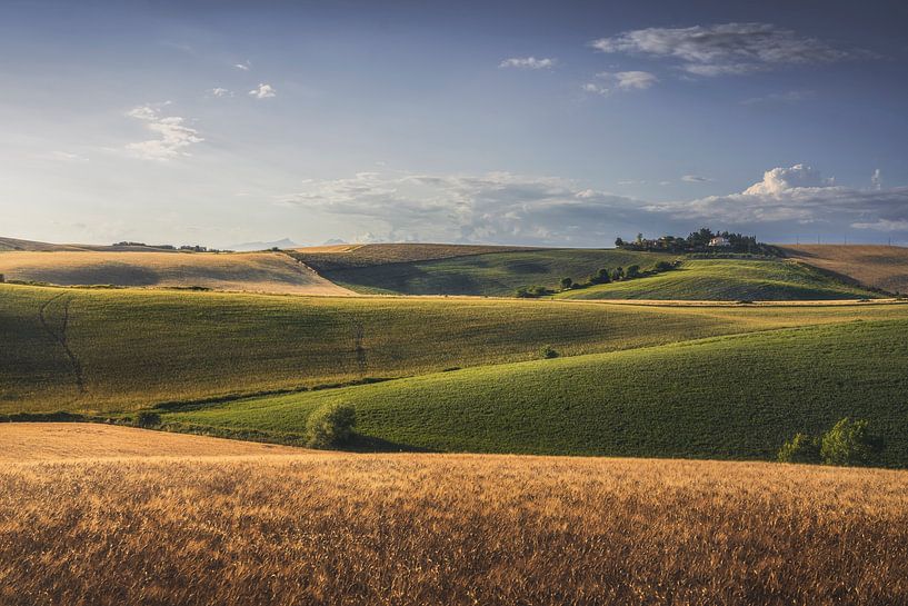 Schaduwen en licht, landschap in Toscane van Stefano Orazzini