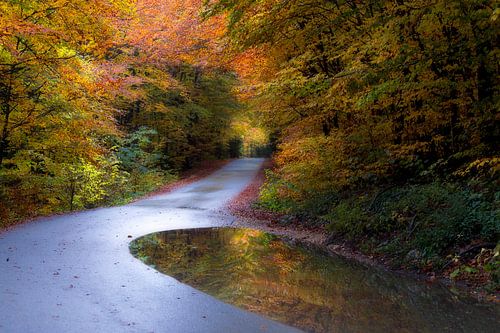 Herbstfarben