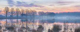 foggy sunrise over lake in winter by Henno Drop