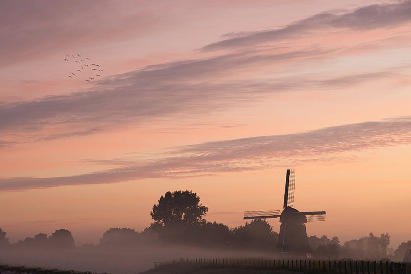 Fog over the road near mill &quot;The Four Winds&quot; by peterheinspictures