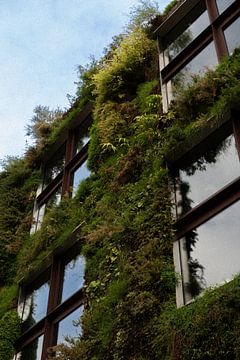 Groene muur | Parijs | Frankrijk Reisfotografie van Dohi Media