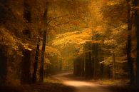 Goldener Waldweg auf der Veluwe von Erwin Stevens Miniaturansicht