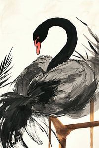 Cygne noir