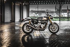 Triumph Thruxton R von Westland Op Wielen