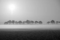 Nebliger Morgen.