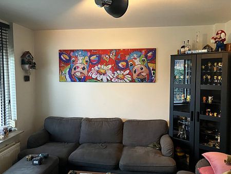 Happy Cows | Flower Girls | Panorama