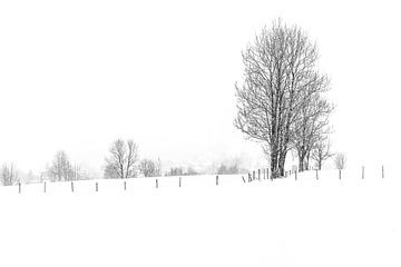 Hiver à Dorfgastein, photographie en noir et blanc