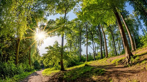 Der Offerbusch in Velbert