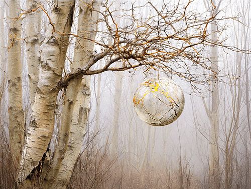 Birch cradle by Golden Silence